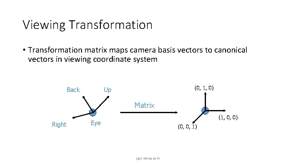 Viewing Transformation • Transformation matrix maps camera basis vectors to canonical vectors in viewing