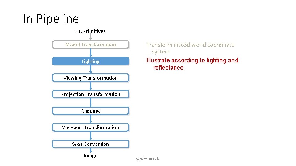 In Pipeline 3 D Primitives Model Transformation Lighting Transform into 3 d world coordinate