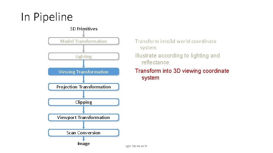 In Pipeline 3 D Primitives Model Transformation Lighting Viewing Transformation Transform into 3 d