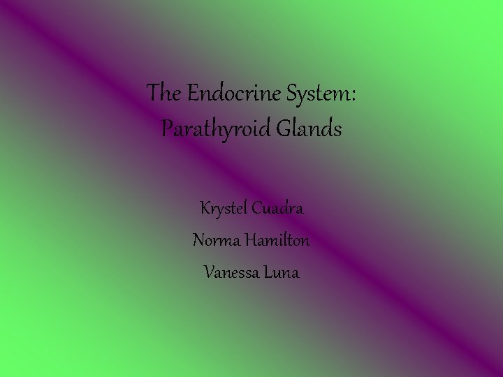 The Endocrine System: Parathyroid Glands Krystel Cuadra Norma Hamilton Vanessa Luna 