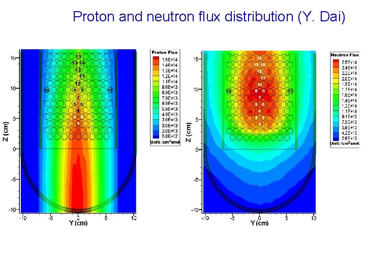 Proton and neutron flux distribution (Y. Dai) 