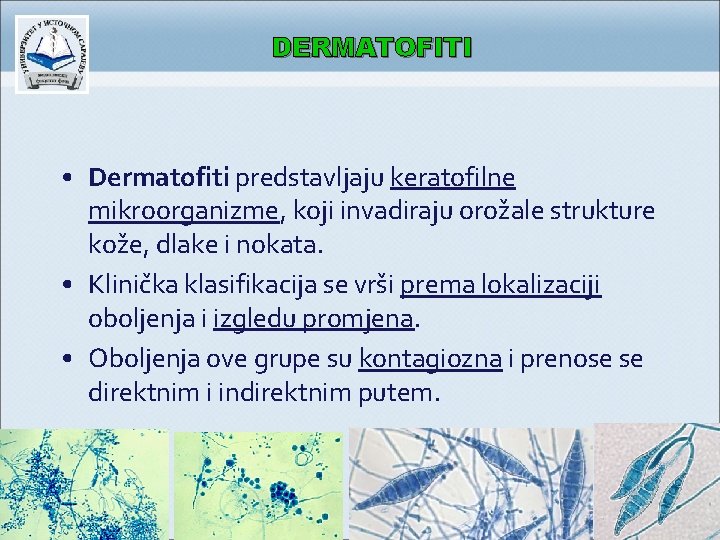 DERMATOFITI • Dermatofiti predstavljaju keratofilne mikroorganizme, koji invadiraju orožale strukture kože, dlake i nokata.