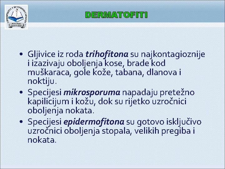 DERMATOFITI • Gljivice iz roda trihofitona su najkontagioznije i izazivaju oboljenja kose, brade kod