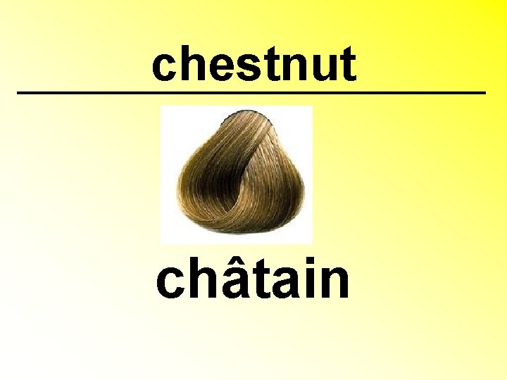 chestnut châtain 