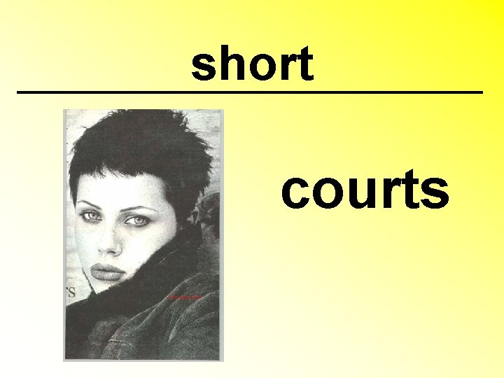 short courts 