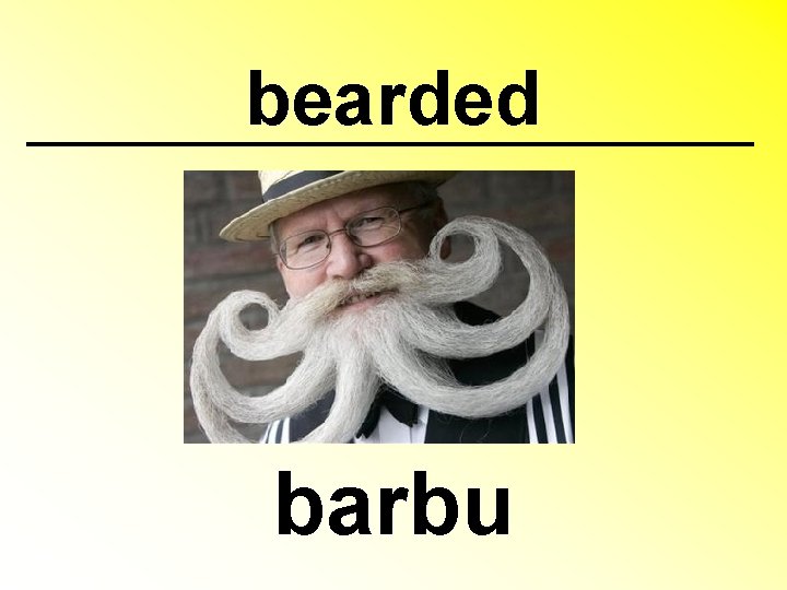 bearded barbu 