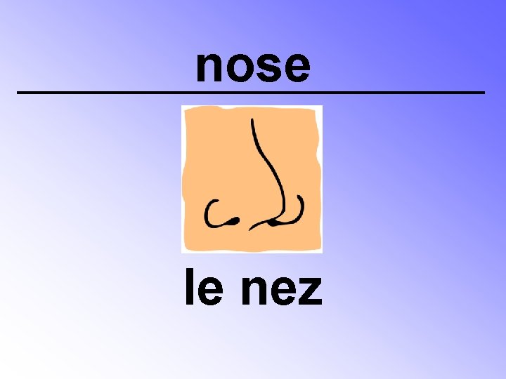 nose le nez 