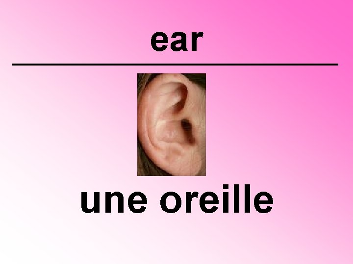 ear une oreille 