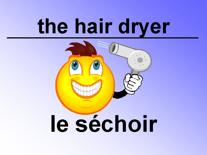the hair dryer le séchoir 