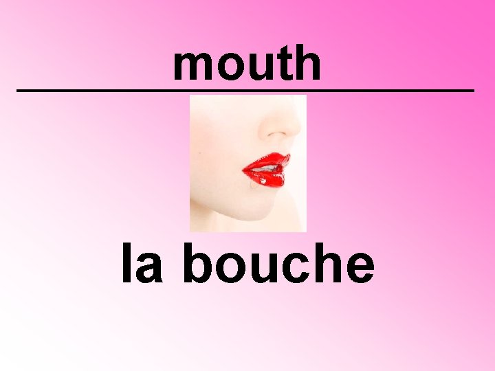 mouth la bouche 