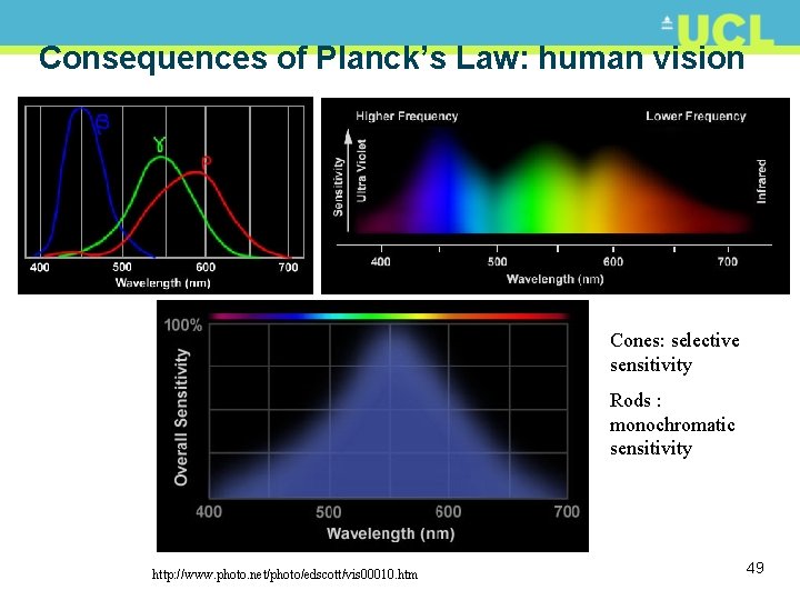 Consequences of Planck’s Law: human vision Cones: selective sensitivity Rods : monochromatic sensitivity http: