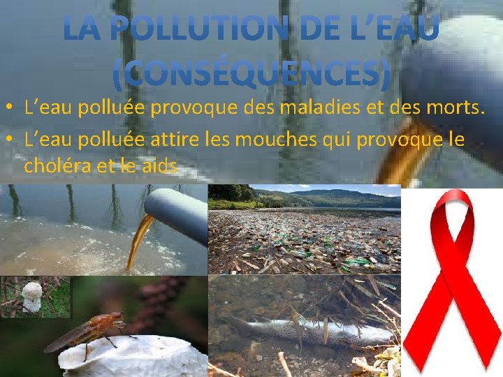  • L’eau polluée provoque des maladies et des morts. • L’eau polluée attire