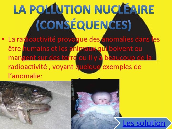  • La radioactivité provoque des anomalies dans les être humains et les animaux