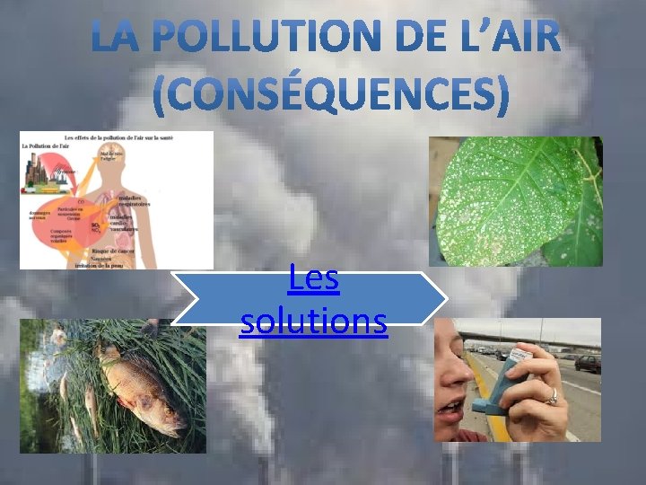 Les solutions 