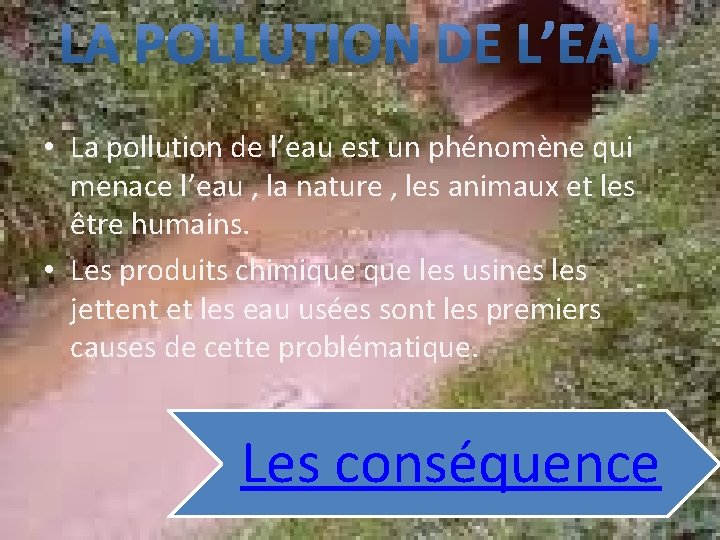  • La pollution de l’eau est un phénomène qui menace l’eau , la