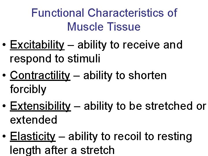 Functional Characteristics of Muscle Tissue • Excitability – ability to receive and respond to