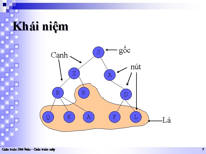 Khái niệm Cạnh nút Z B Q Caáu truùc Döõ lieäu - Caáu truùc