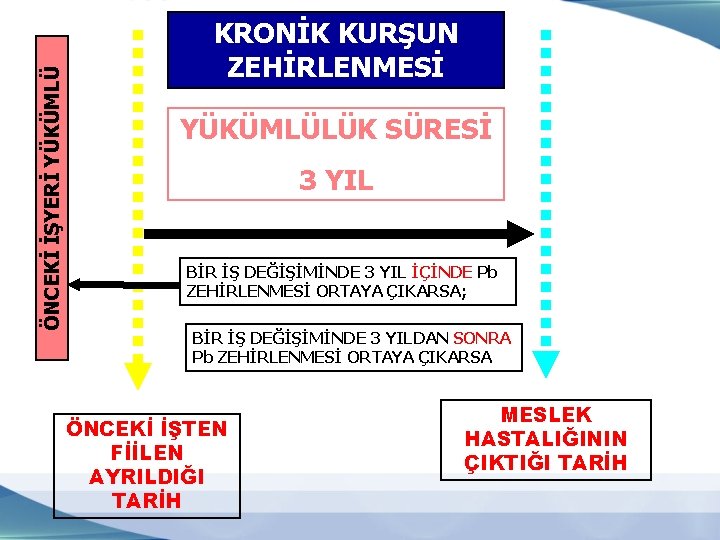 ÖNCEKİ İŞYERİ YÜKÜMLÜ KRONİK KURŞUN ZEHİRLENMESİ YÜKÜMLÜLÜK SÜRESİ 3 YIL BİR İŞ DEĞİŞİMİNDE 3