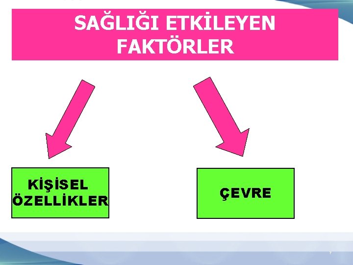 SAĞLIĞI ETKİLEYEN FAKTÖRLER KİŞİSEL ÖZELLİKLER ÇEVRE 7 