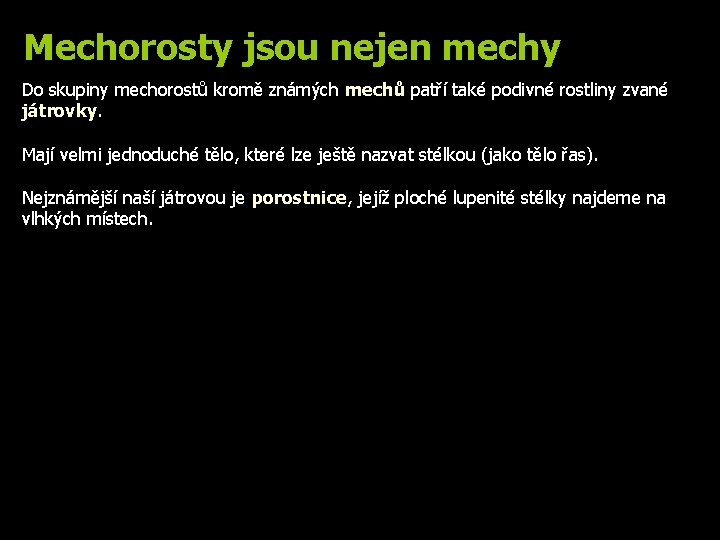 Mechorosty jsou nejen mechy Do skupiny mechorostů kromě známých mechů patří také podivné rostliny