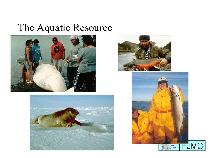 The Aquatic Resource 