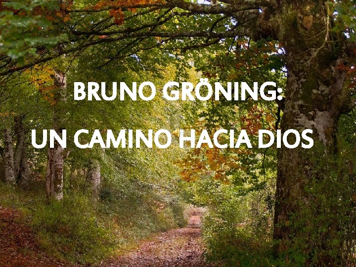 BRUNO GRÖNING: UN CAMINO HACIA DIOS 