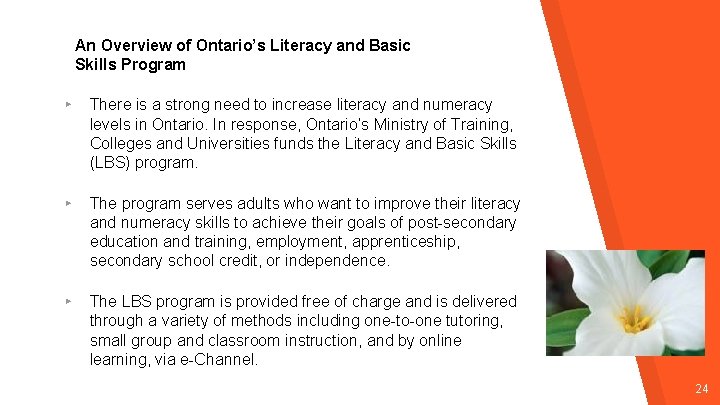 An Overview of Ontario’s Literacy and Basic Skills Program ▸ There is a strong An Overview of Ontario’s Literacy and Basic Skills Program ▸ There is a strong