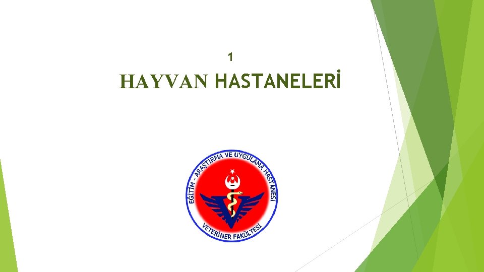 1 HAYVAN HASTANELERİ 