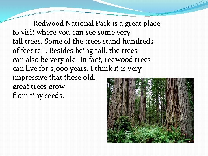 Redwood National Park is a great place to visit where you can see some