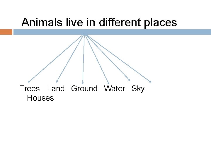 Animals live in different places Trees Land Ground Water Sky Houses 