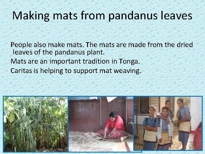 Making mats from pandanus leaves People also make mats. The mats are made from