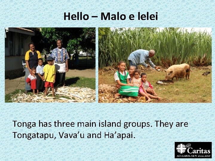 Hello – Malo e lelei Tonga has three main island groups. They are Tongatapu,