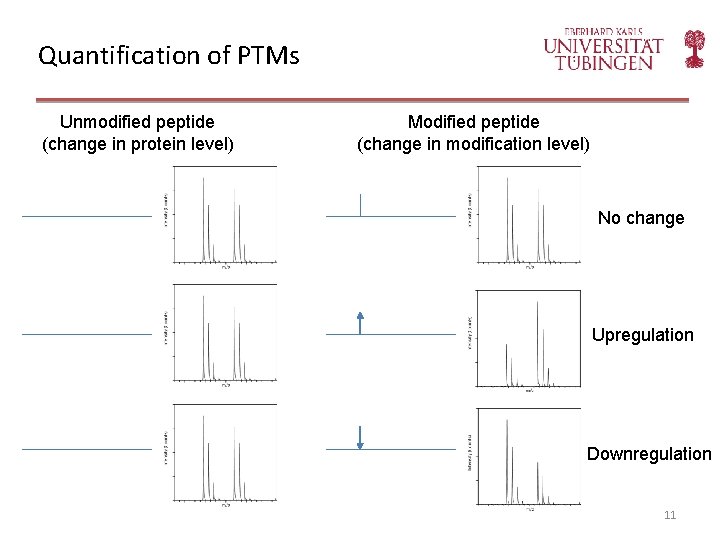 Quantification of PTMs Unmodified peptide (change in protein level) Modified peptide (change in modification