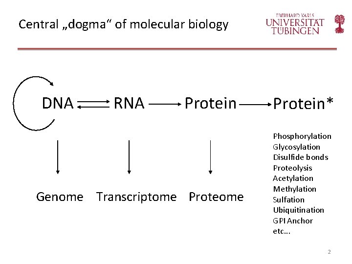 Central „dogma“ of molecular biology DNA RNA Protein Genome Transcriptome Protein* Phosphorylation Glycosylation Disulfide