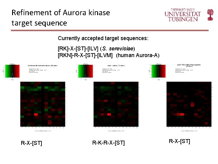 Refinement of Aurora kinase target sequence Currently accepted target sequences: [RK]-X-[ST]-[ILV] (S. serevisiae) [RKN]-R-X-[ST]-[ILVM]