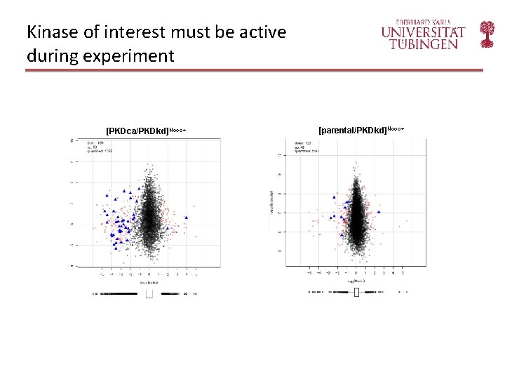 Kinase of interest must be active during experiment [PKDca/PKDkd]Noco+ [parental/PKDkd]Noco+ 