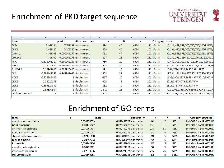 Enrichment of PKD target sequence Enrichment of GO terms 