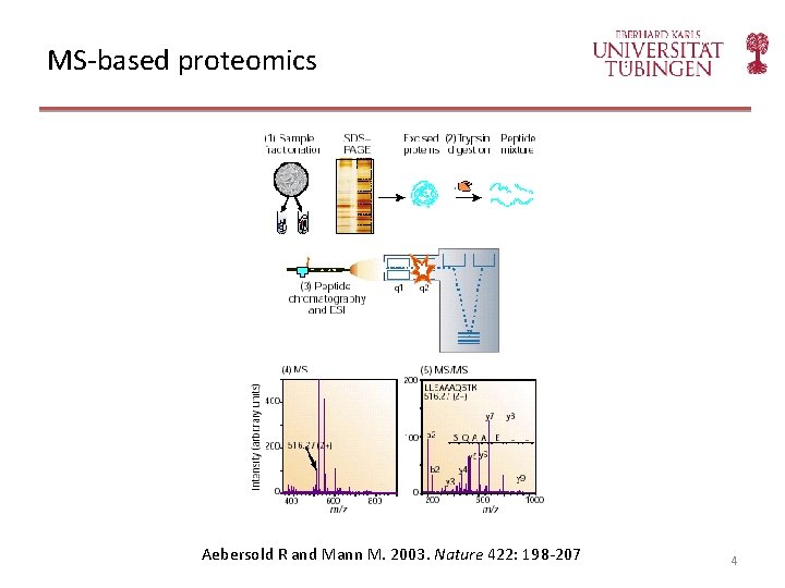 MS-based proteomics Aebersold R and Mann M. 2003. Nature 422: 198 -207 4 