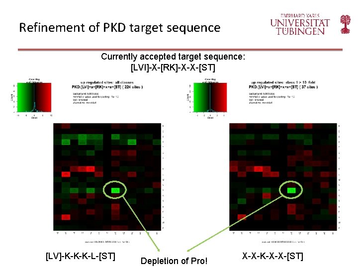 Refinement of PKD target sequence Currently accepted target sequence: [LVI]-X-[RK]-X-X-[ST] [LV]-K-K-K-L-[ST] Depletion of Pro!