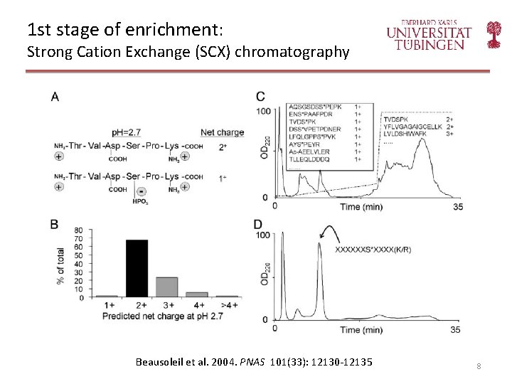 1 st stage of enrichment: Strong Cation Exchange (SCX) chromatography Beausoleil et al. 2004.