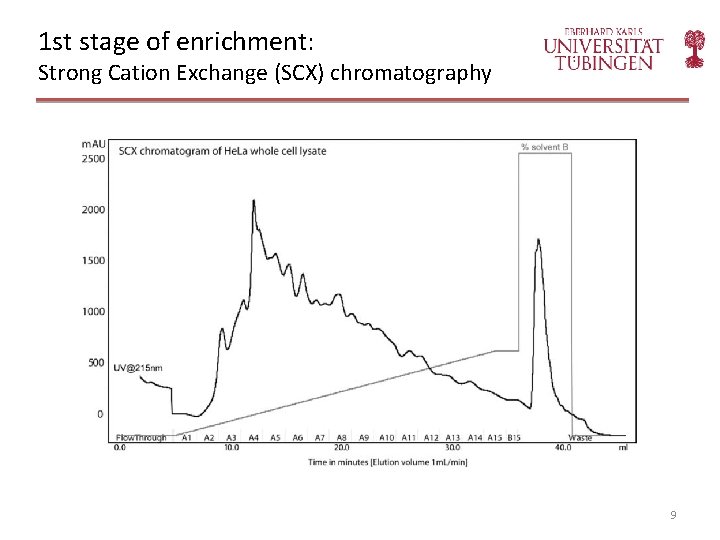 1 st stage of enrichment: Strong Cation Exchange (SCX) chromatography 9 