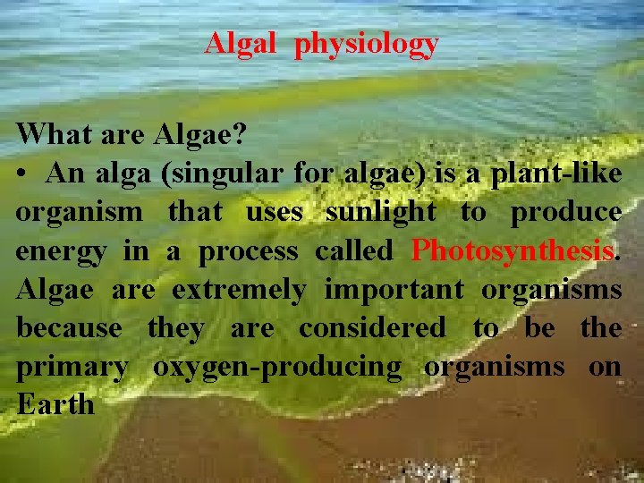 Algal physiology What are Algae? • An alga (singular for algae) is a plant-like