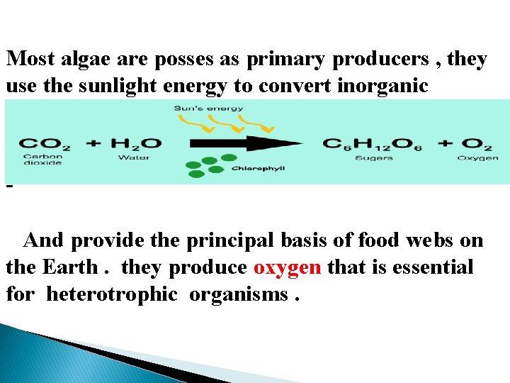 Most algae are posses as primary producers , they use the sunlight energy to Most algae are posses as primary producers , they use the sunlight energy to