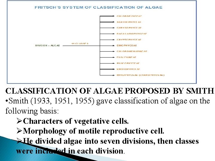 CLASSIFICATION OF ALGAE PROPOSED BY SMITH • Smith (1933, 1951, 1955) gave classification of