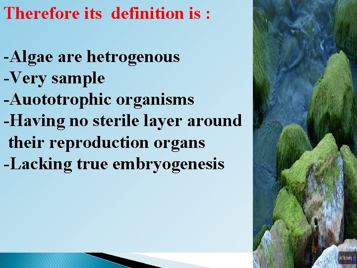 Therefore its definition is : -Algae are hetrogenous -Very sample -Auototrophic organisms -Having no Therefore its definition is : -Algae are hetrogenous -Very sample -Auototrophic organisms -Having no