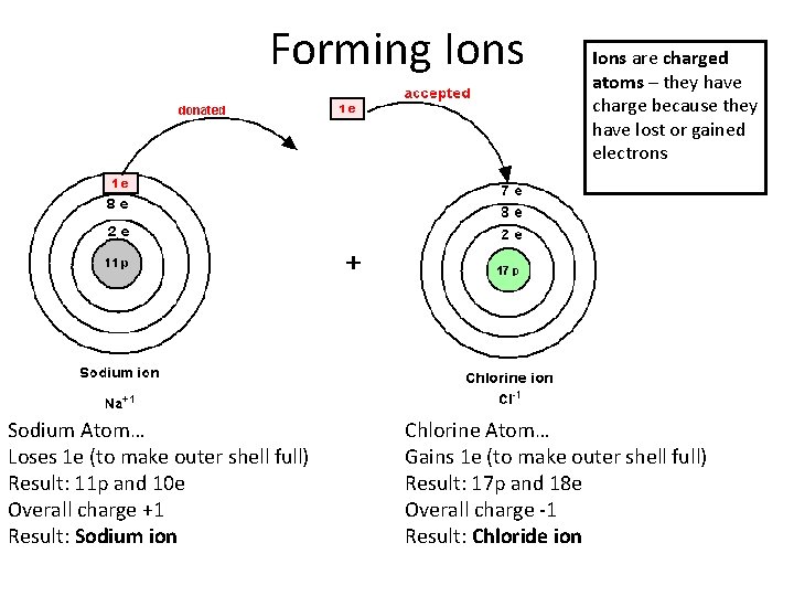 Forming Ions Sodium Atom… Loses 1 e (to make outer shell full) Result: 11 Forming Ions Sodium Atom… Loses 1 e (to make outer shell full) Result: 11