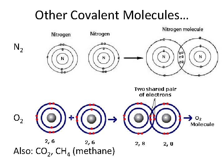 Other Covalent Molecules… N 2 O 2 Also: CO 2, CH 4 (methane) Other Covalent Molecules… N 2 O 2 Also: CO 2, CH 4 (methane)