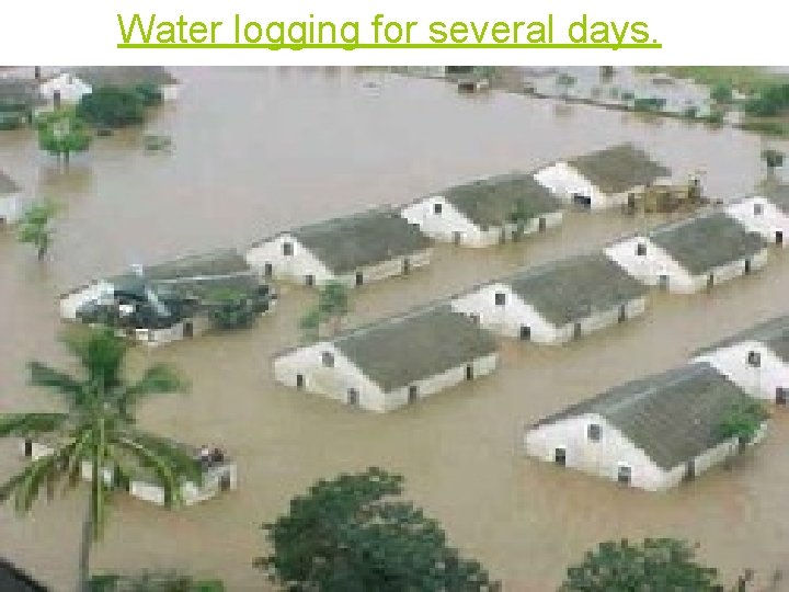 Water logging for several days. 