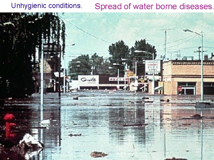 Unhygienic conditions. Spread of water borne diseases. 