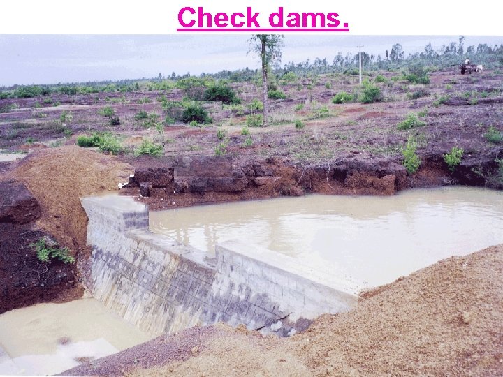 Check dams. 